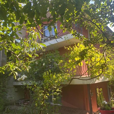 Ardelean Apartment Oradea Bagian luar foto