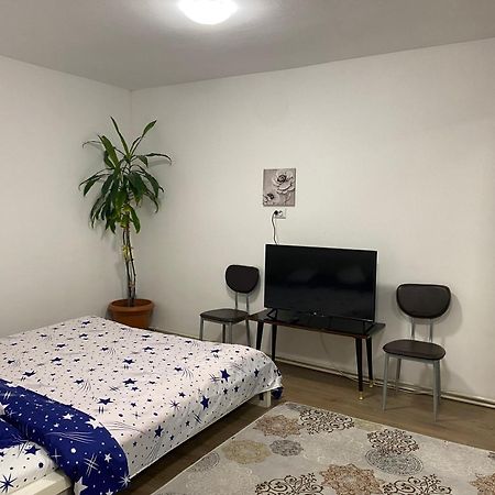 Ardelean Apartment Oradea Bagian luar foto