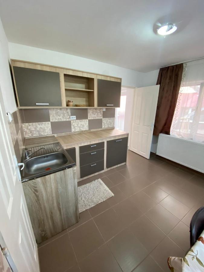 Ardelean Apartment Oradea Bagian luar foto