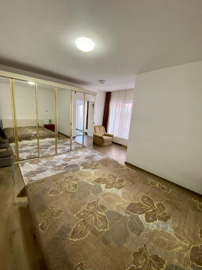 Ardelean Apartment Oradea Bagian luar foto