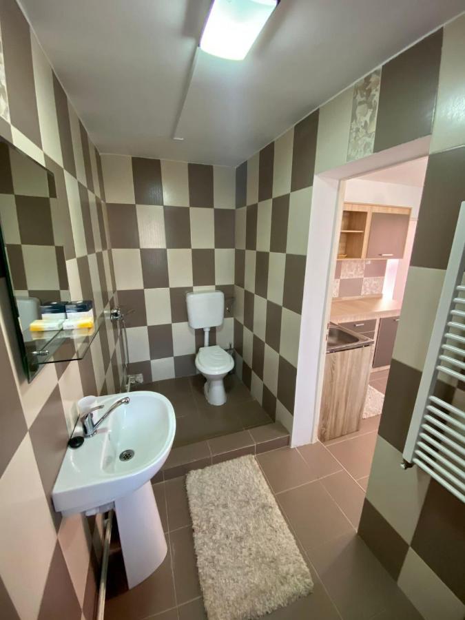 Ardelean Apartment Oradea Bagian luar foto