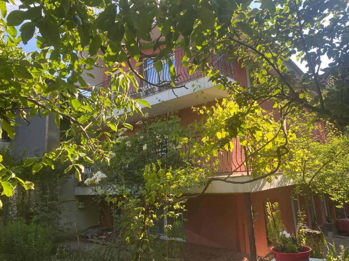 Ardelean Apartment Oradea Bagian luar foto
