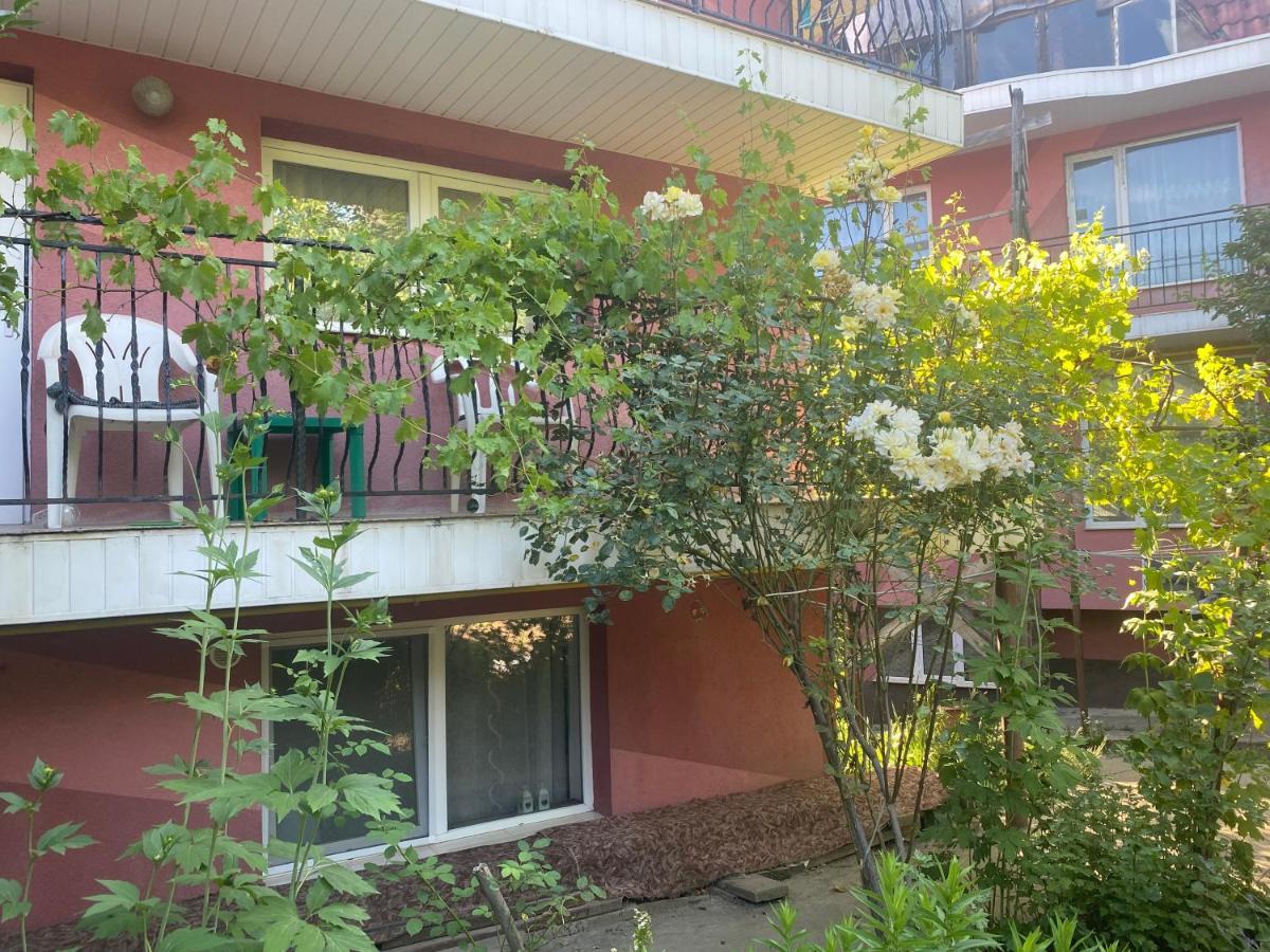 Ardelean Apartment Oradea Bagian luar foto