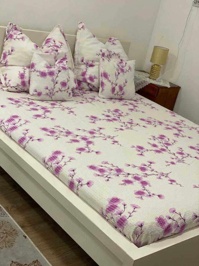 Ardelean Apartment Oradea Bagian luar foto