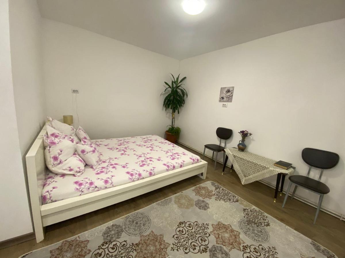 Ardelean Apartment Oradea Bagian luar foto