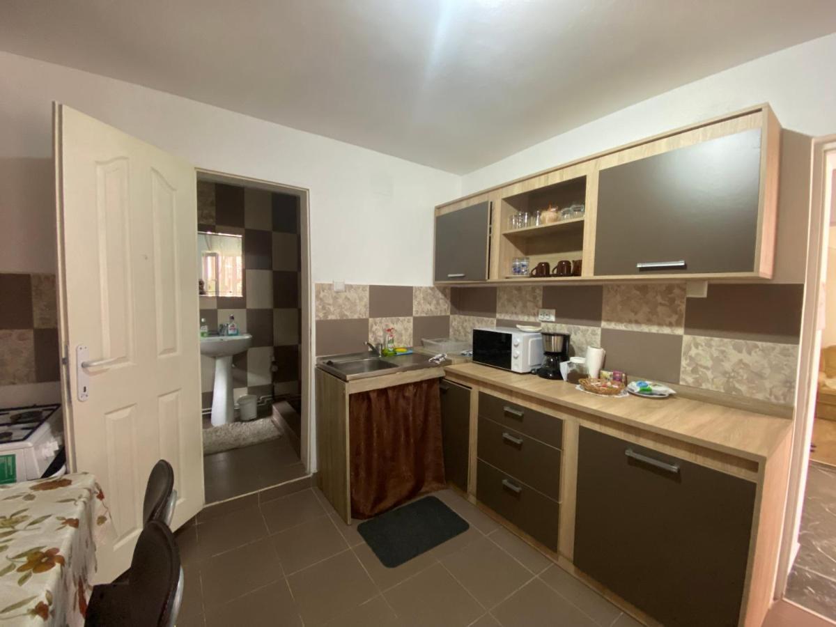 Ardelean Apartment Oradea Bagian luar foto